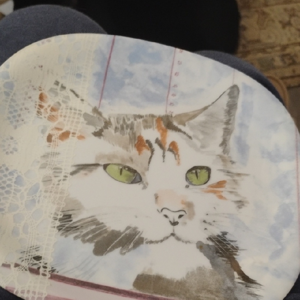 Charming Cat Design Feeding Plate